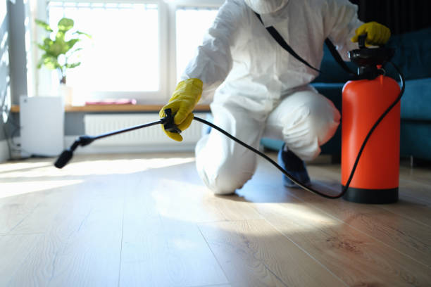Reliable Odor Removal contractor in Weaverville, NC by Trauma Clean Pros